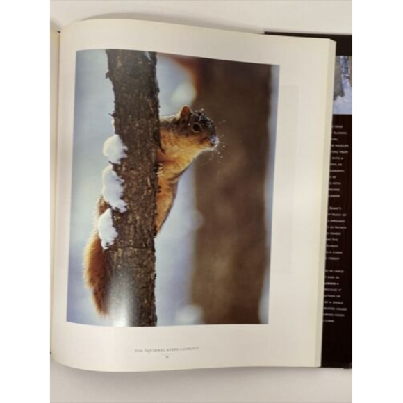 Illinois: Seasons of Light by Robert Shaw Coffee Table Book - Picture 7 of 10